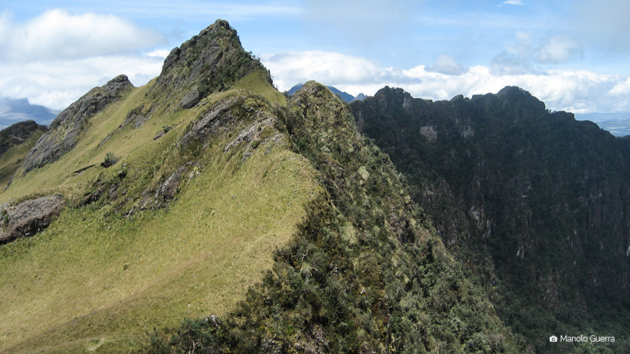 Pasochoa Andean Forest